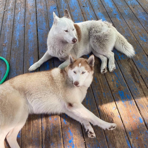 Meet your Posher, Michele π - Picture 4 of 16